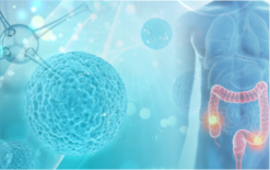 Imersão em Fisiologia do Metabolismo Humano