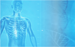 Introdutório de Fisiologia do Metabolismo Humano