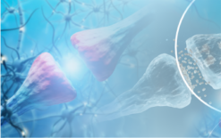 Avançado Neurotransmissores