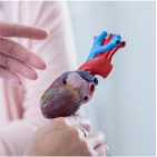 Cardiologia