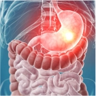 Gastroenterologia