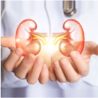 Urologia